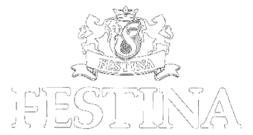 Festina Watches 