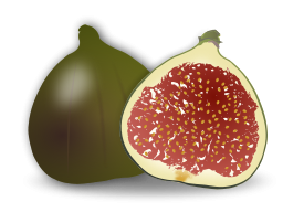 Fig Fruit Preview