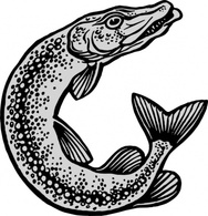 Animals - Fish clip art 