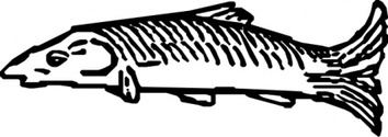 Animals - Fish clip art 