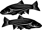 Fish Free Vector