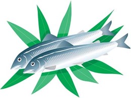 Animals - Fish Vector 2 