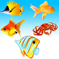 Animals - Fish Vector Free Download 