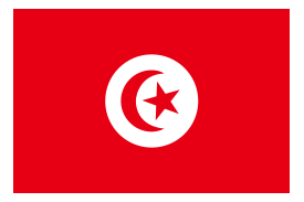 Flag of Tunisia Preview