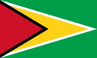 Flag South Republic British America Guyana Preview