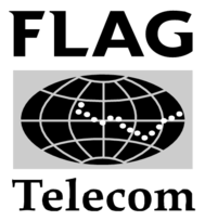 Flag Telecom