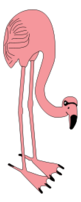 Animals - Flamingo 