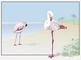 Flamingo Vector Preview