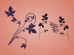 Nature - Floral Design Elements 