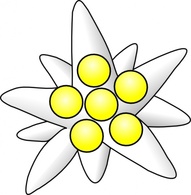 Nature - Flower Circles clip art 