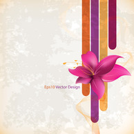 Flower Gentle Vector Backgrounds Preview