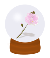 Flower Globe