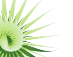 Flower Green Vector Background