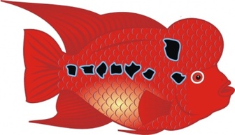 Flower Horn Fish clip art