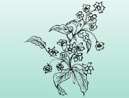 Flower Illustration 