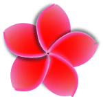 Flower Vector Image 