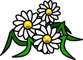 Flowers clip art