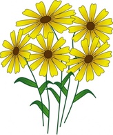 Nature - Flowers clip art 