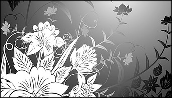 Flowers & Trees - Flowers line drawing vector material 