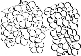 Flowers & Trees - Flowers Outline clip art 