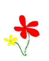 Flowers, Yellow and Red