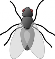 Animals - Fly Bug Insect clip art 