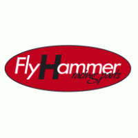 Moto - Flyhammer racing parts 