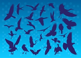 Animals - Flying Birds Silhouettes 