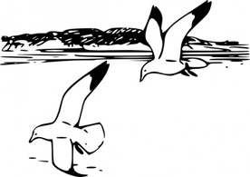 Animals - Flying Sea Gulls clip art 