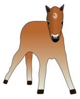 Foal Preview