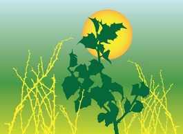 Nature - Foliage Graphics 