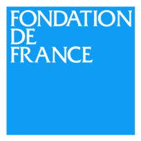 Fondation De France Preview