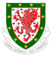 Football Association Of Wales