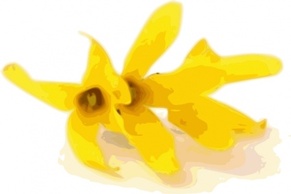 Nature - Forsythia clip art 