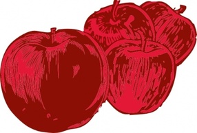 Food - Four Apples clip art 