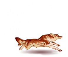 Animals - Fox clip art 