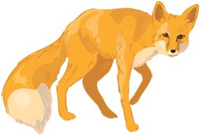 Animals - Fox Vector 4 