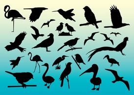 Animals - Free Birds Vector 