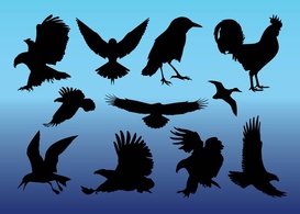 Animals - Free Birds Vectors 