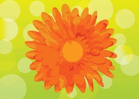 Free Flower Vector