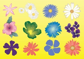 Free Flowers Vector