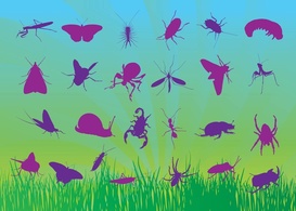 Animals - Free Insects Vectors 