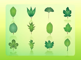 Elements - Free Leaf Vector Icons 