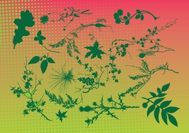 Free Leaf Vectors