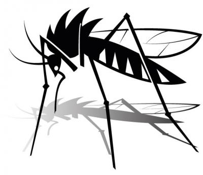 Free Mosquito Vector Graphics Preview