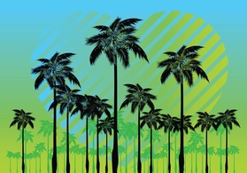 Nature - Free Palm Tree Vectors 