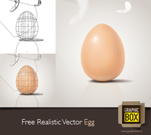 Food - Free Realistic Vector Egg 