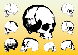 Free Skulls Vector Packs Preview