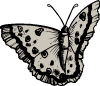 Free Vector Butterfly