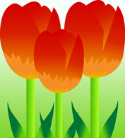 Free Vector Colorful Tulips Preview